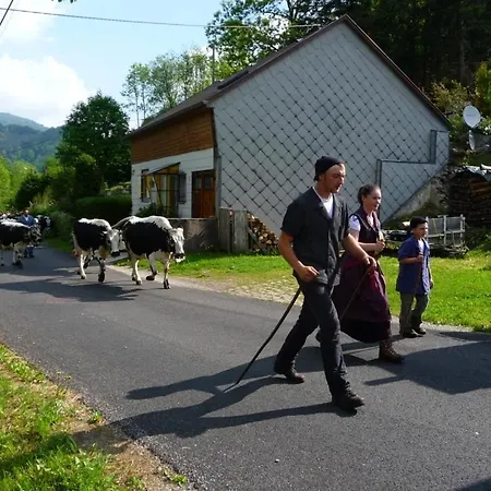 ベッド・アンド・ブレックファスト D'hotes Les Rondins De La Fecht 3*